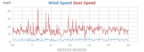 yearwind